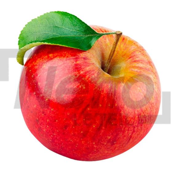 Pomme Gala - la portion de 250g maximum